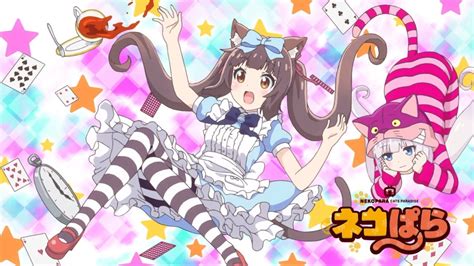 nekopata|nekopara english dub.